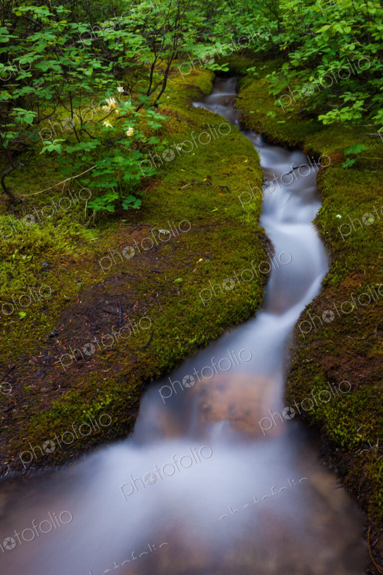 Alpine Stream, a time lapse effect, Jasper National Park, Alberta, Canada