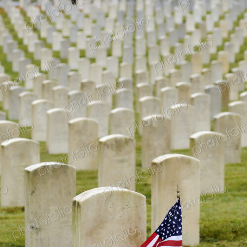 American flag planted in veteran cemetery American flag planted in veteran cemetery