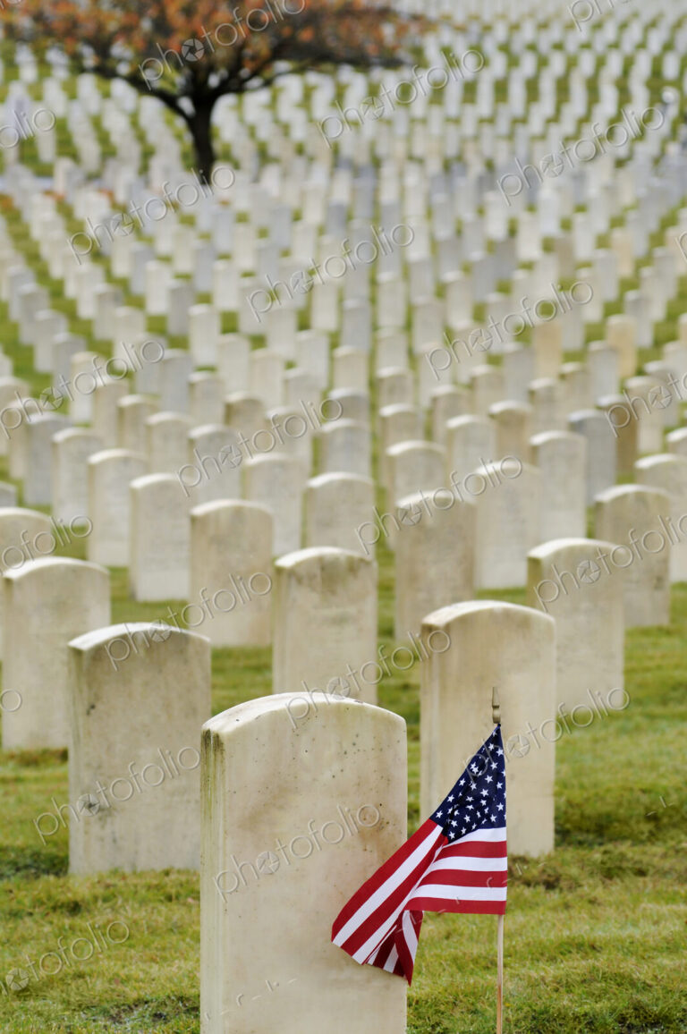 American flag planted in veteran cemetery