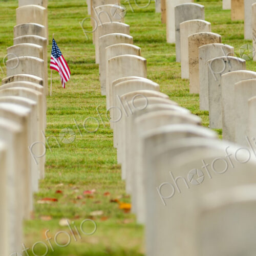 American flag planted in veterans cemetery American flag planted in veterans cemetery