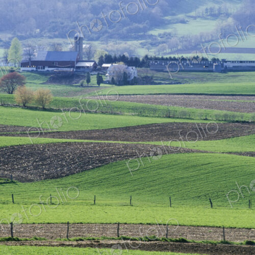 Amish Farmhouse and Farmland