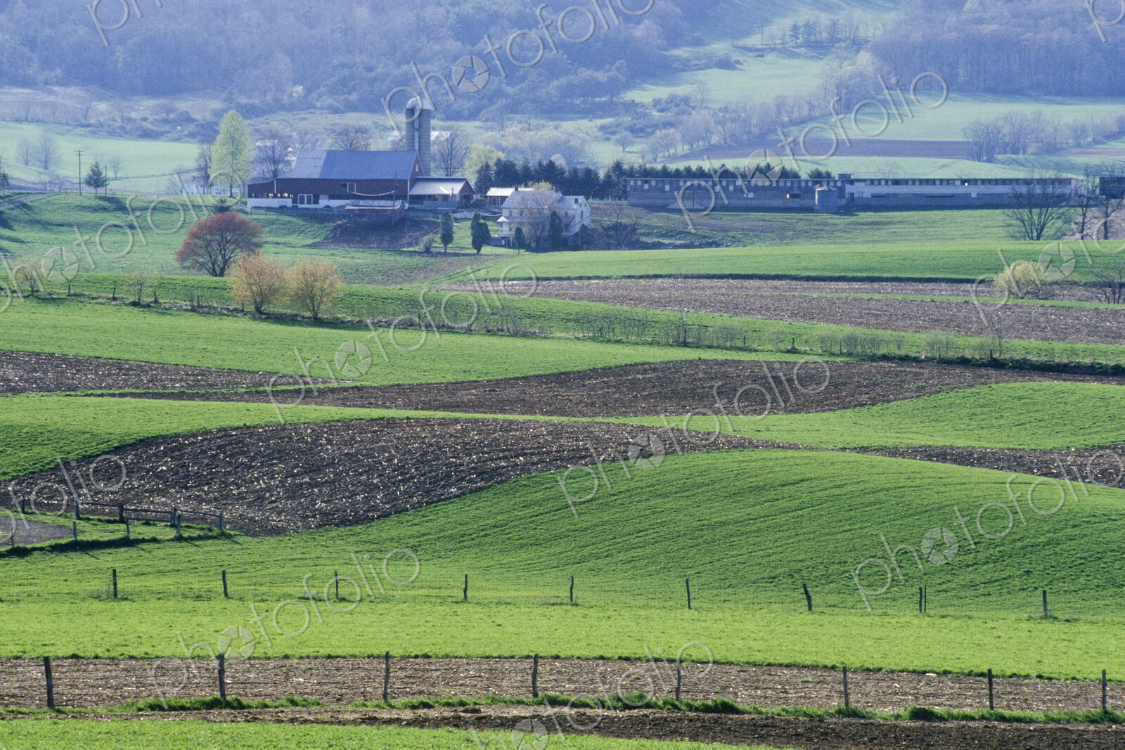 Amish Farmhouse and Farmland