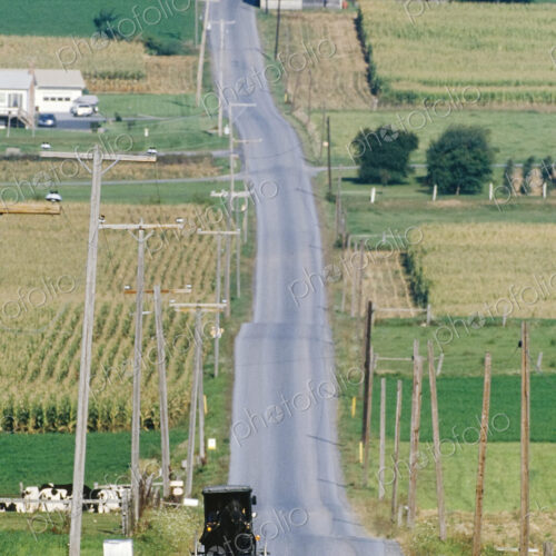 Amish Horse and Buggy on Country Road Amish Horse and Buggy on Country Road