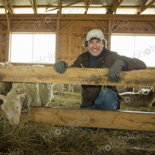 An Organic Farm in Winter in Cold Spring, New York State. A family working caring for… An Organic Farm in Winter in Cold Spring, New York State. A family working caring for…