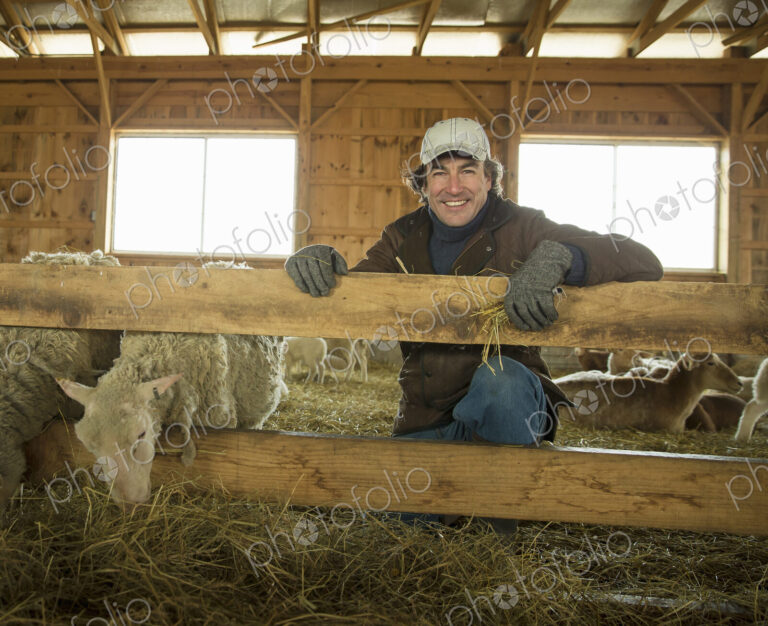 An Organic Farm in Winter in Cold Spring, New York State. A family working caring for…