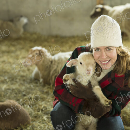 An Organic Farm in Winter in Cold Spring, New York State. A family working caring for… An Organic Farm in Winter in Cold Spring, New York State. A family working caring for…