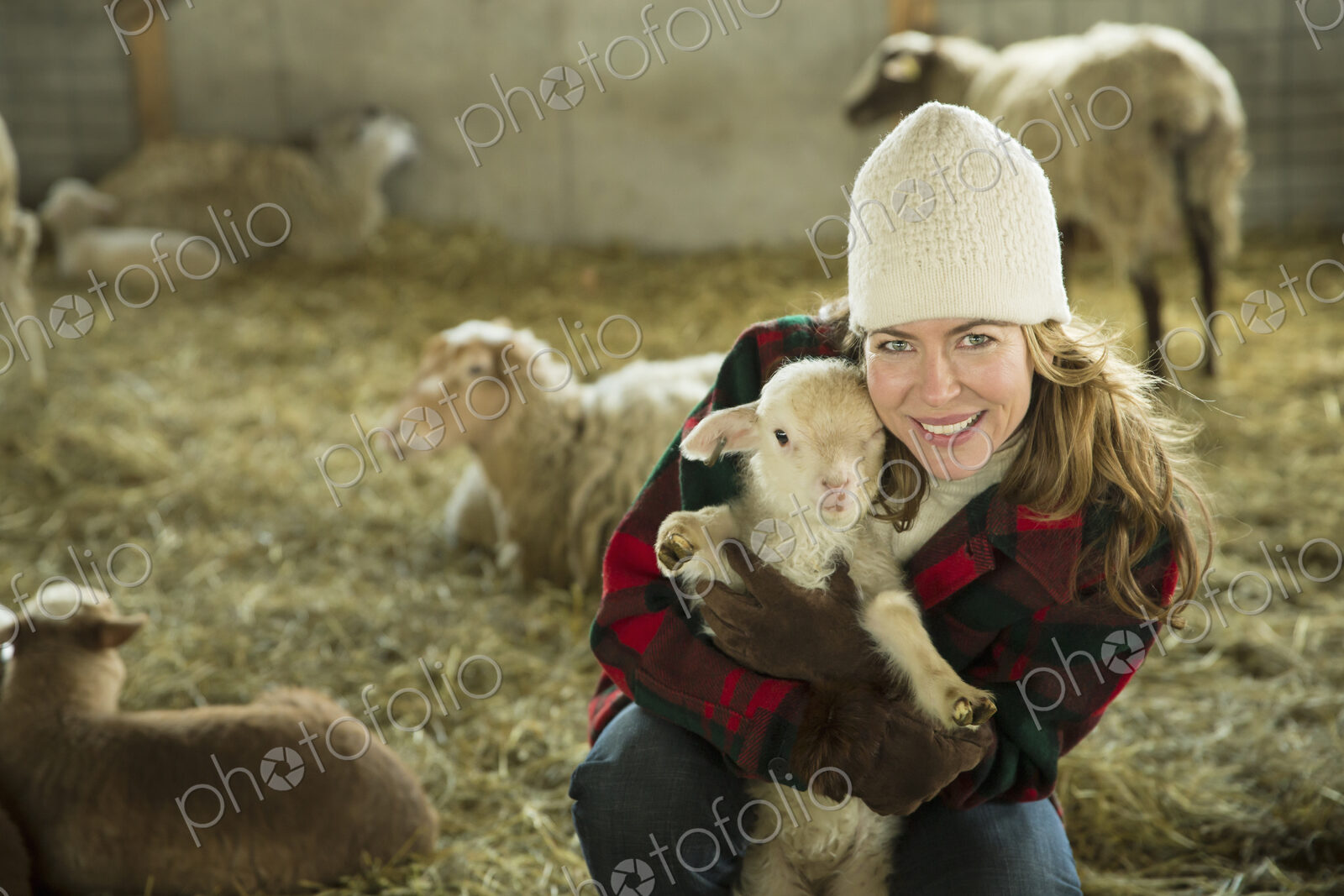 An Organic Farm in Winter in Cold Spring, New York State. A family working caring for…
