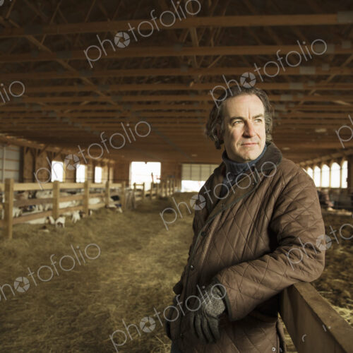An Organic Farm in Winter in Cold Spring, New York State. A farmer in a livestock barn… An Organic Farm in Winter in Cold Spring, New York State. A farmer in a livestock barn…