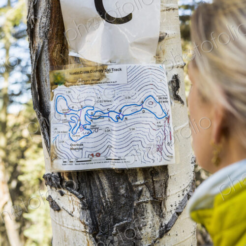 An adult woman hiker looking at a cross country hikers map An adult woman hiker looking at a cross country hikers map