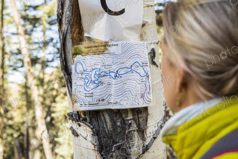 An adult woman hiker looking at a cross country hikers map