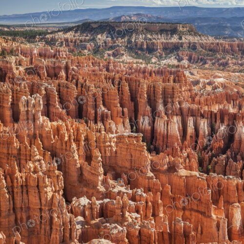 An intricate maze of towering hoodoos glows in vivid red and orange under a bright…