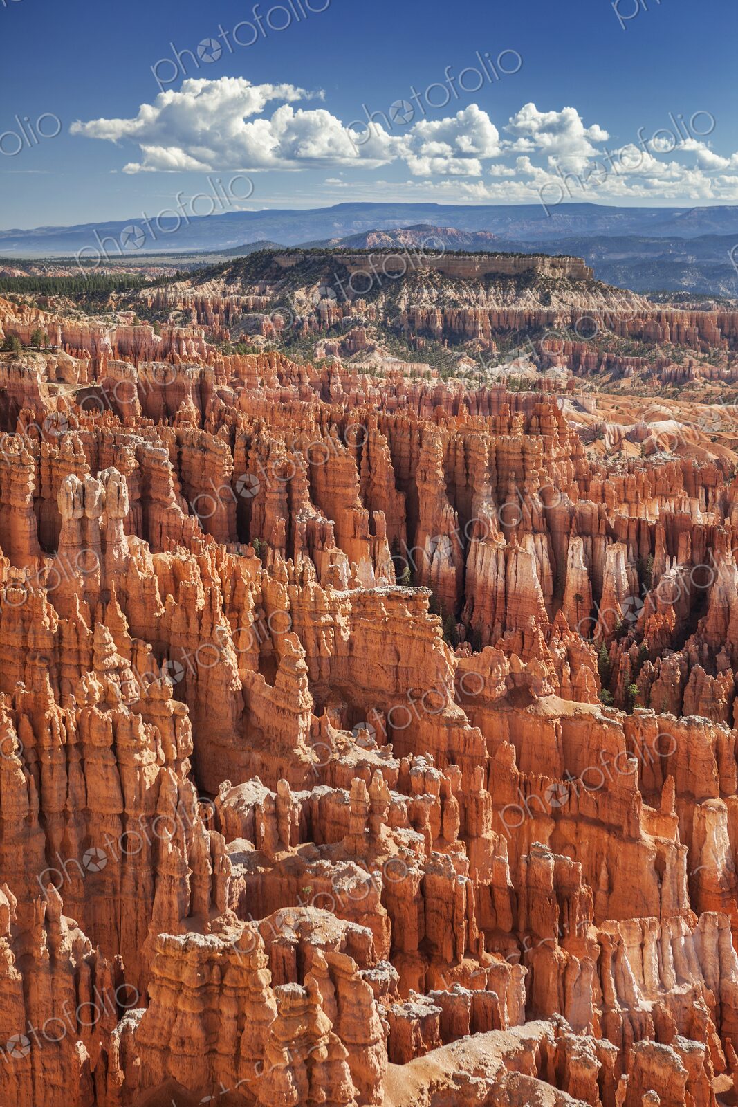 An intricate maze of towering hoodoos glows in vivid red and orange under a bright…