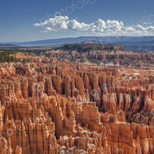 An intricate maze of towering hoodoos glows in vivid red and orange under a bright…