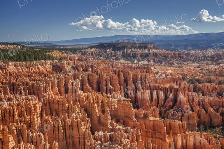 An intricate maze of towering hoodoos glows in vivid red and orange under a bright…