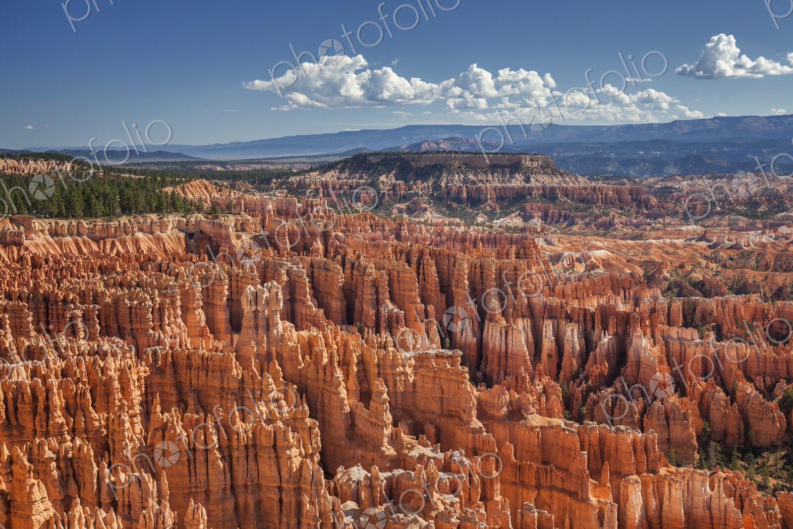 An intricate maze of towering hoodoos glows in vivid red and orange under a bright…