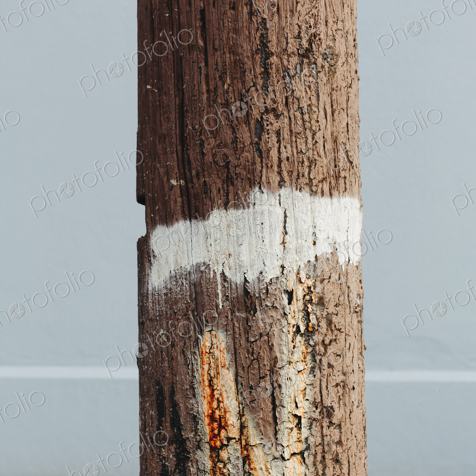 An old cracked and worn wooden telephone pole, with a white painted strip around it.