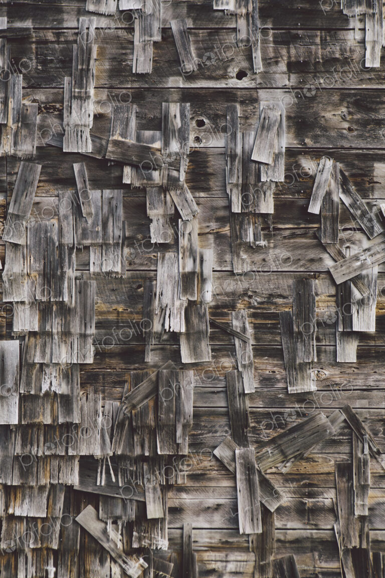 An old farmhouse with wooden shingle tiles on the walls. Silvery grey colours.