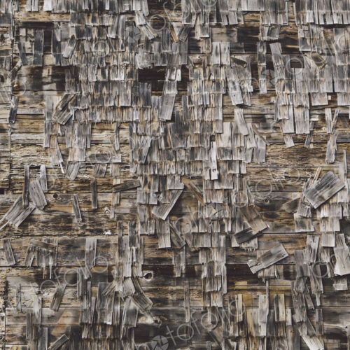 An old farmhouse with wooden shingle tiles on the walls. Silvery grey colours. An old farmhouse with wooden shingle tiles on the walls. Silvery grey colours.