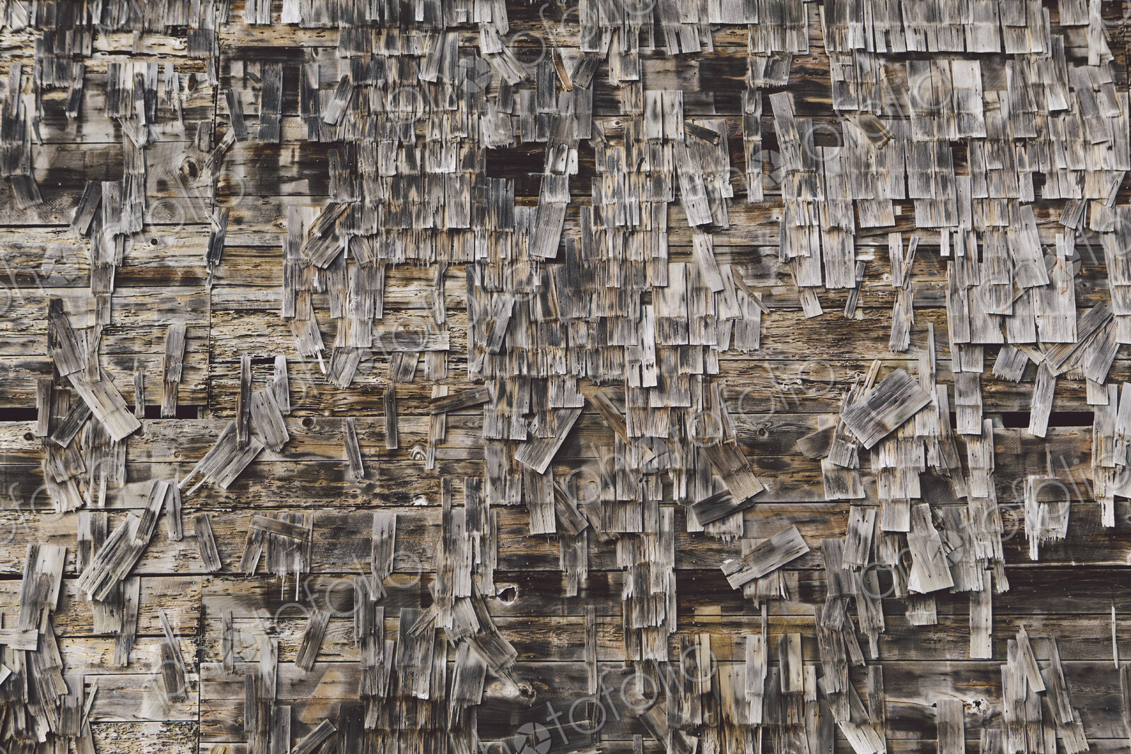 An old farmhouse with wooden shingle tiles on the walls. Silvery grey colours.