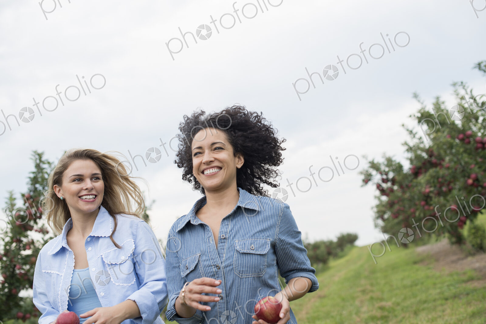 An organic apple tree orchard. Two women carrying apples in their hands.
