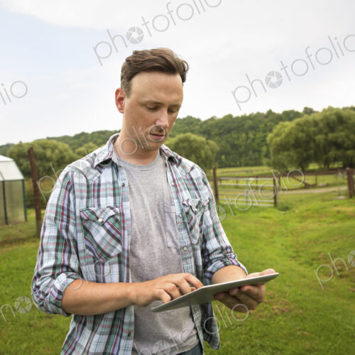 An organic farm in the Catskills. A man using a digital tablet in a grass paddock.