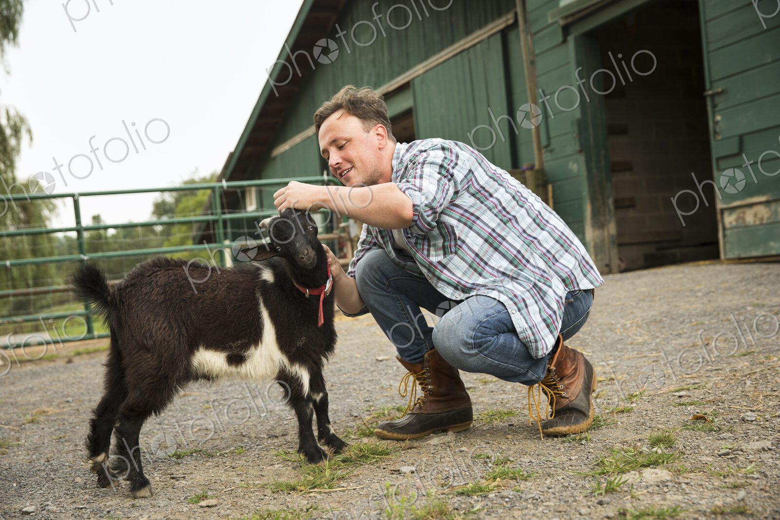 An organic farm in the Catskills. A man with a small black goat.