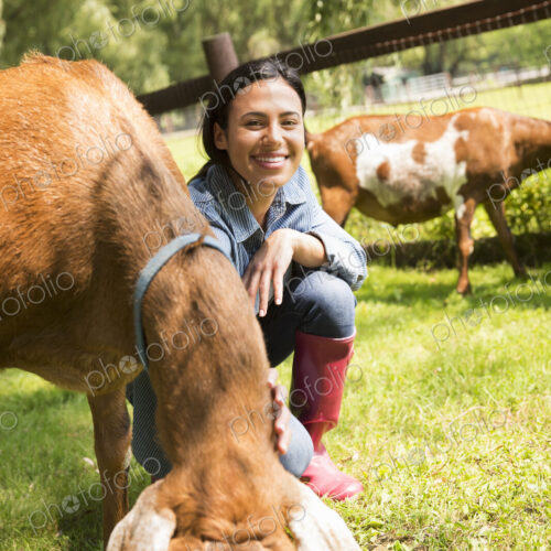 An organic farm in the Catskills. A woman with two large goats.