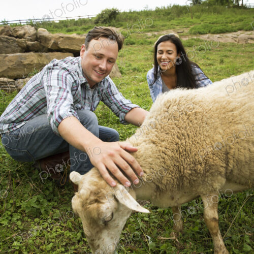 An organic farm in the Catskills. Two people with a sheep grazing.