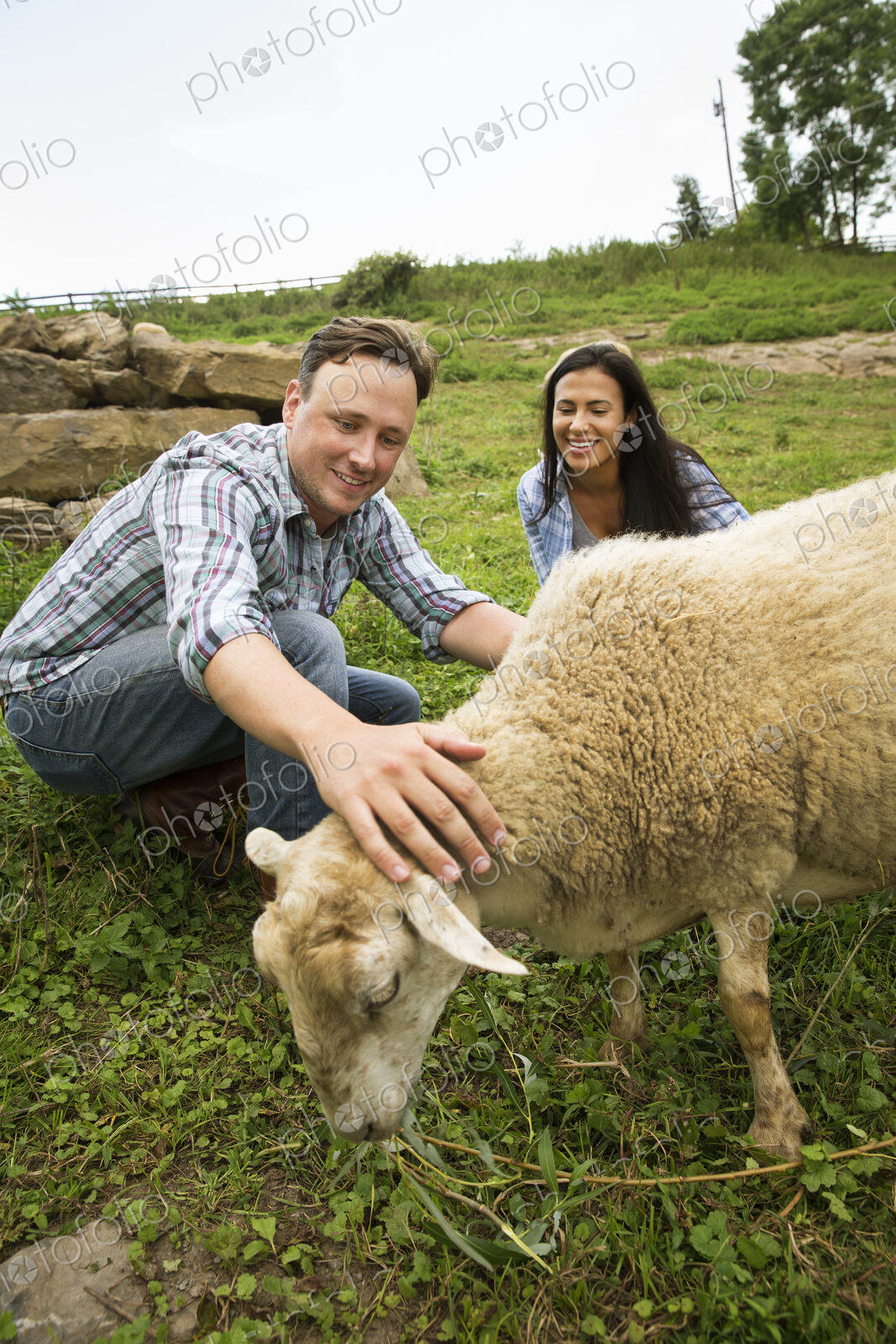 An organic farm in the Catskills. Two people with a sheep grazing.