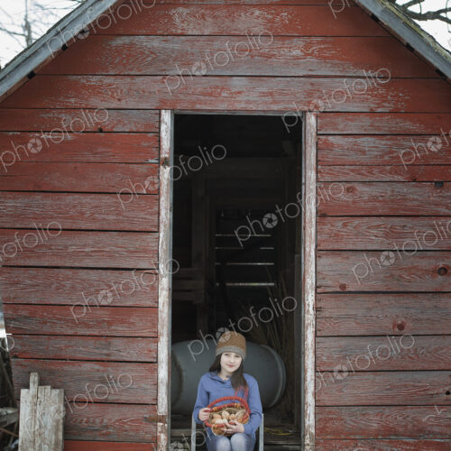 An organic farm in upstate New York, in winter. A girl sitting on the ladder of a…