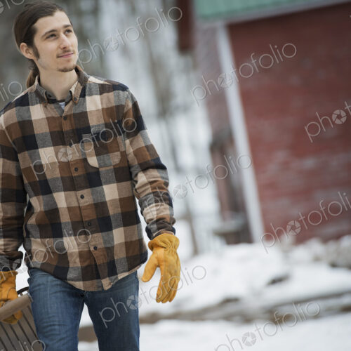 An organic farm in winter in New York State, USA. A man in a plaid shirt walking…