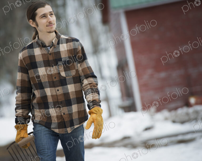 An organic farm in winter in New York State, USA. A man in a plaid shirt walking…
