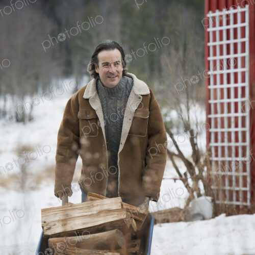 An organic farm in winter in New York State, USA. A man wheeling a barrow of firewood.