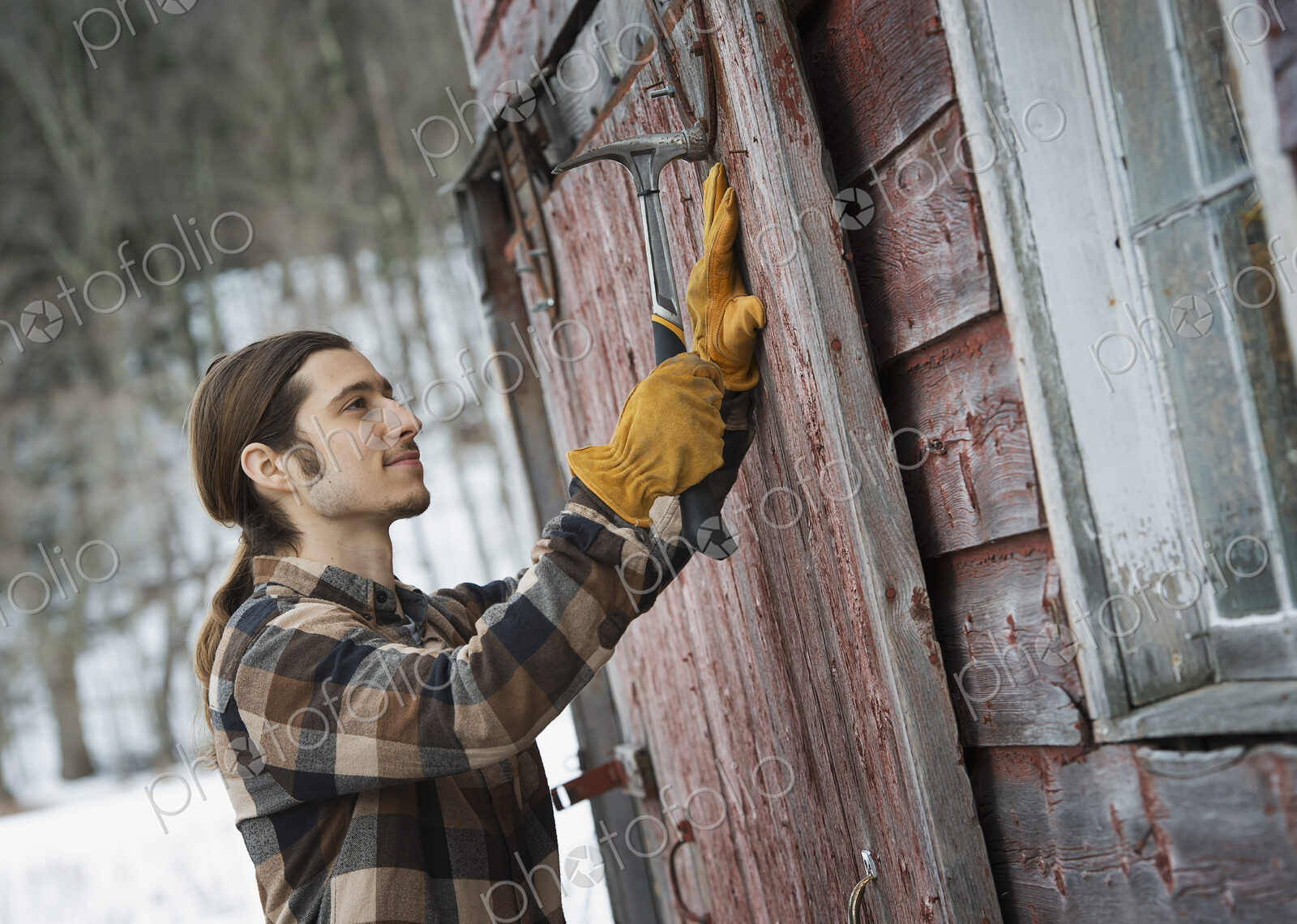 An organic farm in winter in New York State, USA. A man with a hammer, mending a barn…