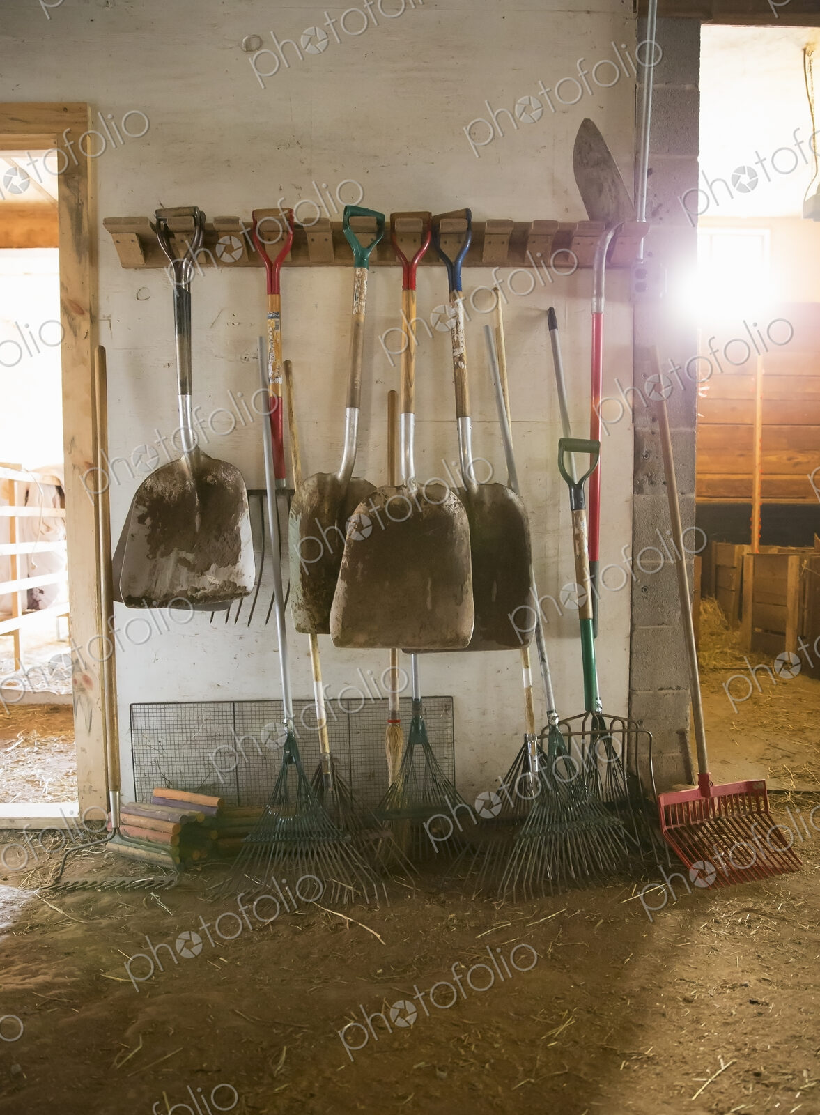 An organic farm. Livestock shed. Rack of shovels, hay rakes and a bootscraper.