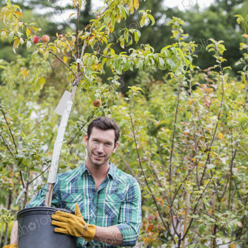 An organic flower plant nursery. A man working, carrying a sapling tree in a pot. An organic flower plant nursery. A man working, carrying a sapling tree in a pot.