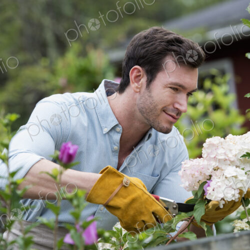 An organic flower plant nursery. A man working, tending the plants. An organic flower plant nursery. A man working, tending the plants.