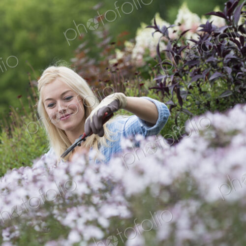 An organic flower plant nursery. A woman working. An organic flower plant nursery. A woman working.