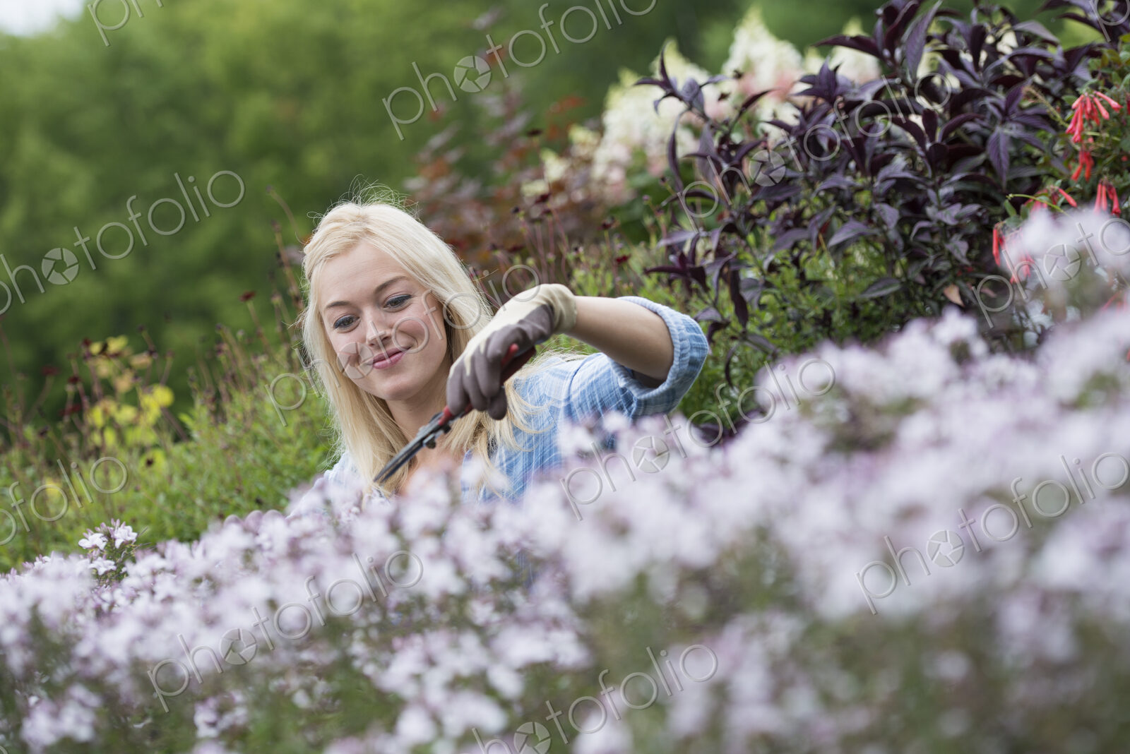 An organic flower plant nursery. A woman working.