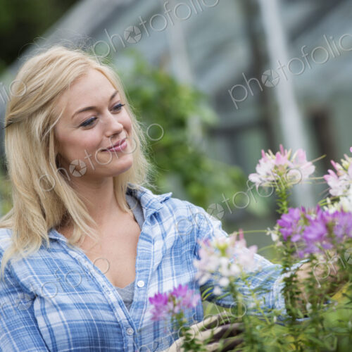 An organic flower plant nursery. A woman working.