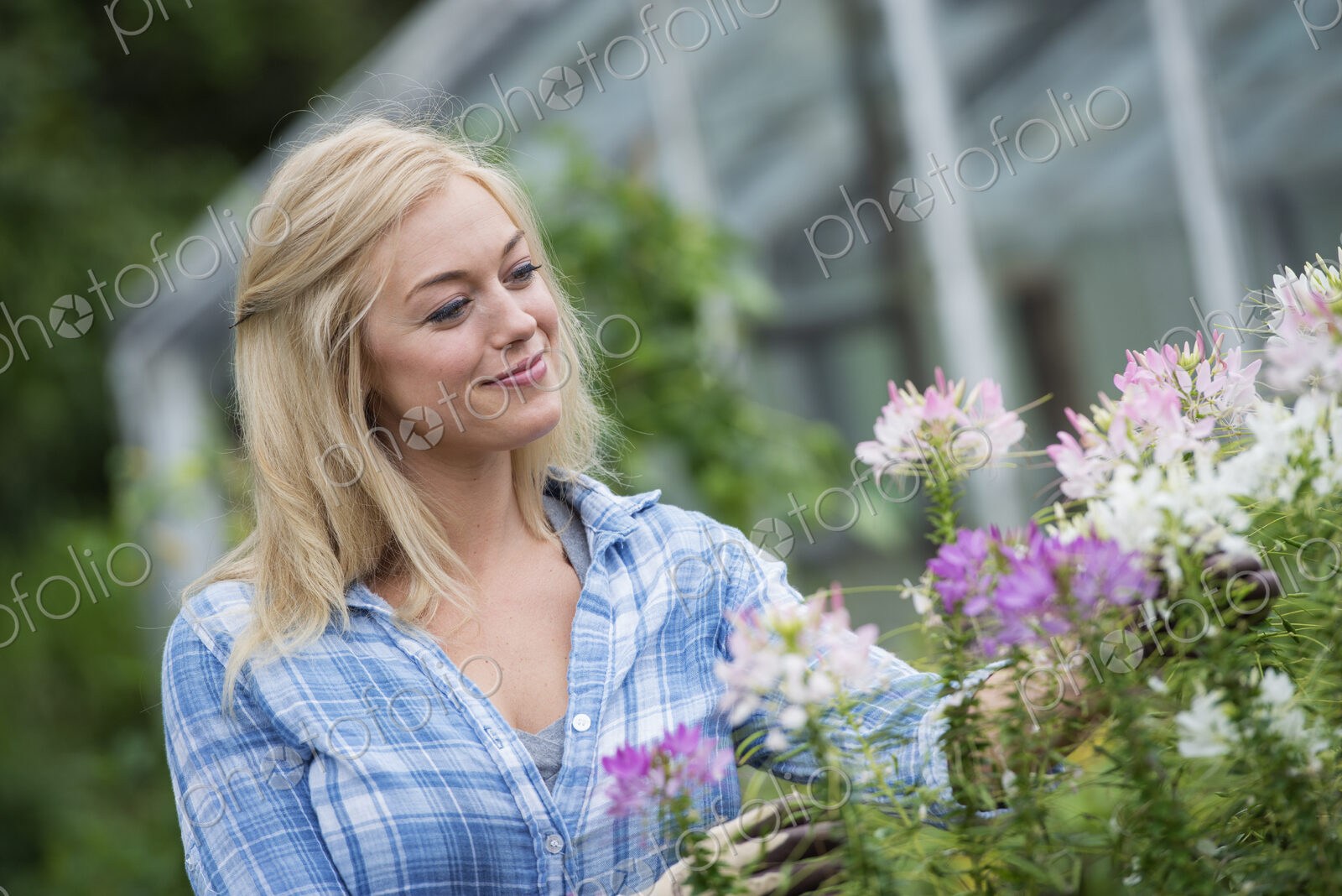 An organic flower plant nursery. A woman working.