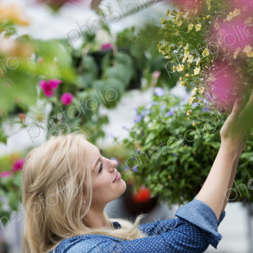 An organic flower plant nursery. A woman working. An organic flower plant nursery. A woman working.