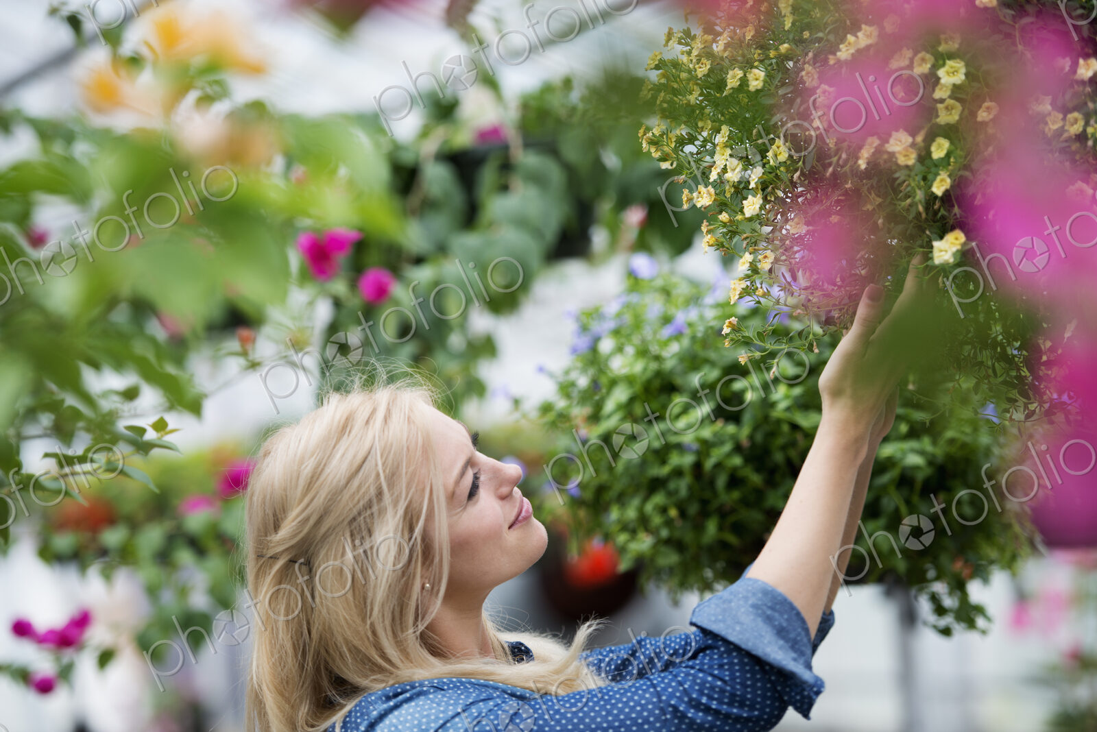 An organic flower plant nursery. A woman working.