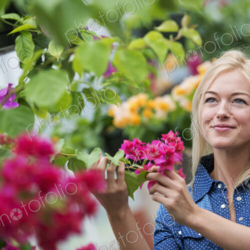 An organic flower plant nursery. A woman working. An organic flower plant nursery. A woman working.