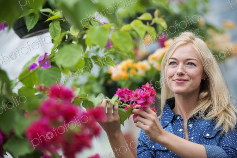 An organic flower plant nursery. A woman working.