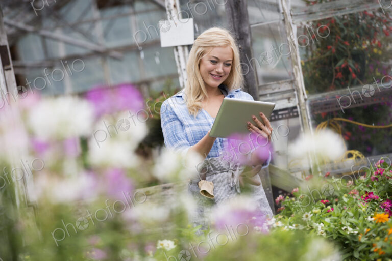 An organic flower plant nursery. A woman working, using a digital tablet.