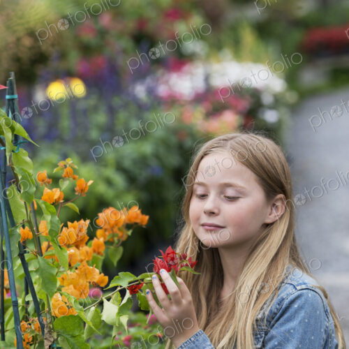 An organic flower plant nursery. A young girl looking at the flowers. An organic flower plant nursery. A young girl looking at the flowers.