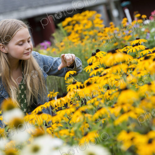 An organic flower plant nursery. A young girl looking at the flowers. An organic flower plant nursery. A young girl looking at the flowers.