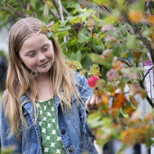 An organic flower plant nursery. A young girl looking at the flowers. An organic flower plant nursery. A young girl looking at the flowers.