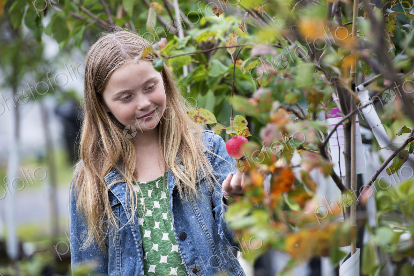 An organic flower plant nursery. A young girl looking at the flowers.